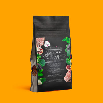 Crocchette Agnello allevato al Pascolo – Cane Adulto