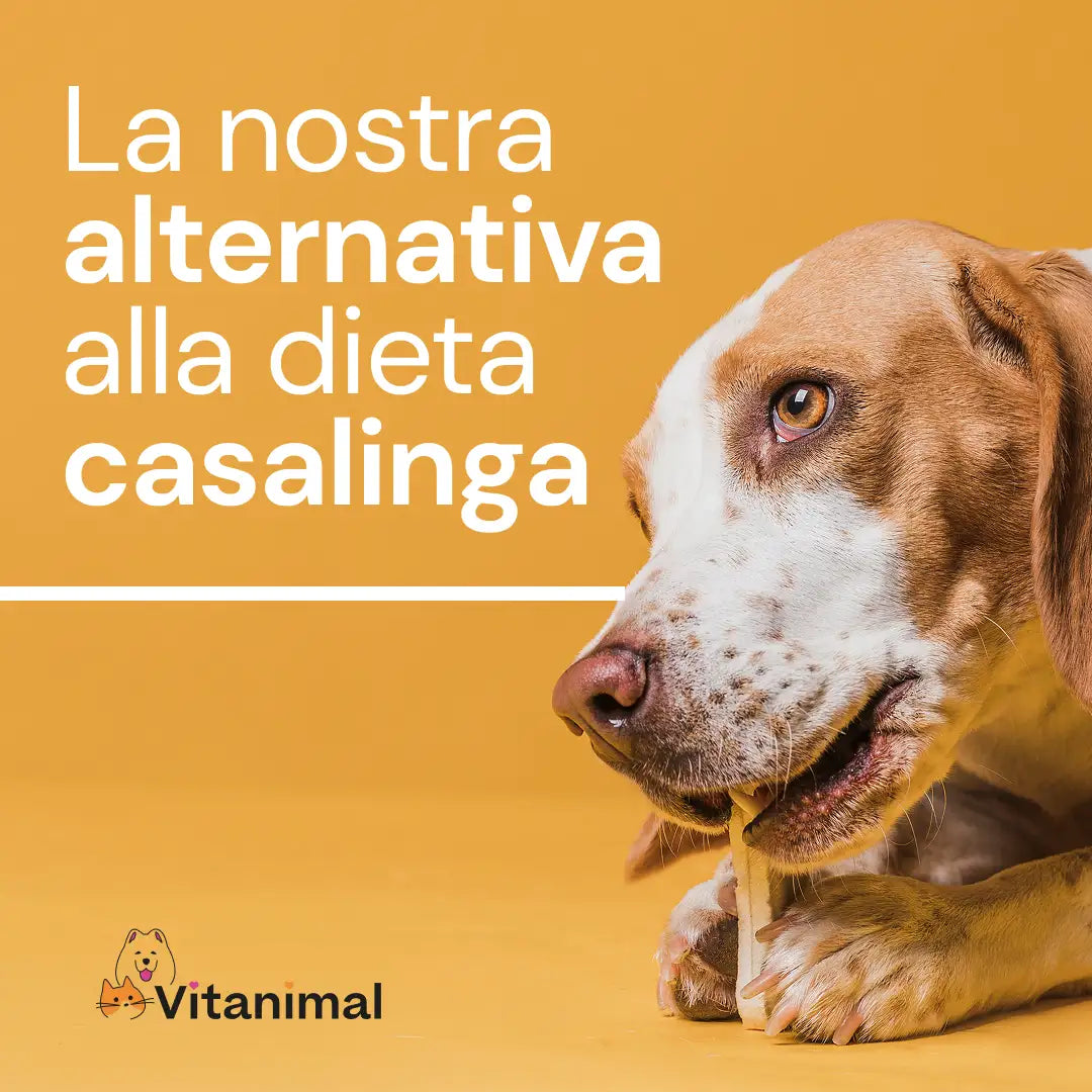 Tacchino con anatra e patate dolci – Cucciolo di taglia piccola