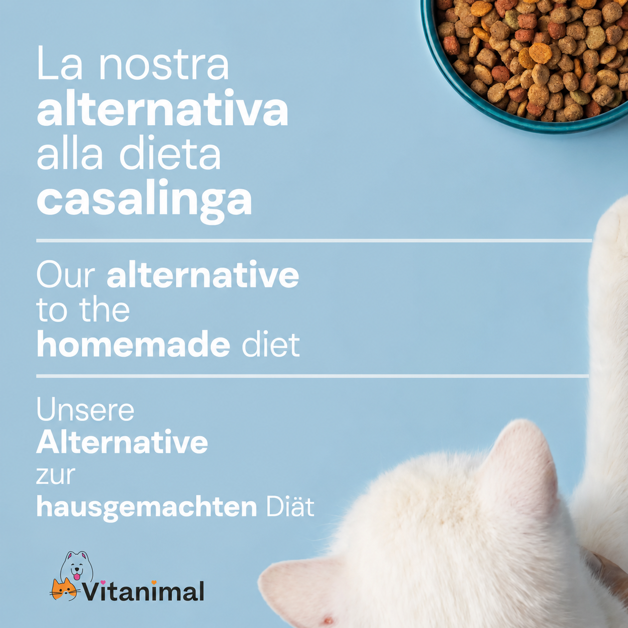 Snack Immunitario – Cane e Gatto
