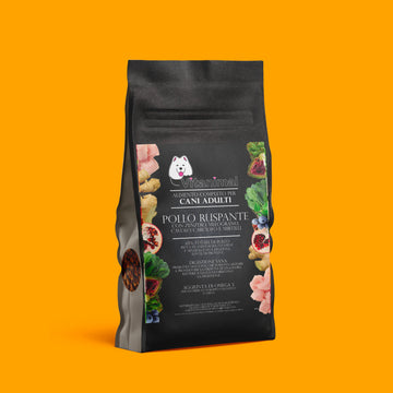 Crocchette Pollo Ruspante – Cane Adulto