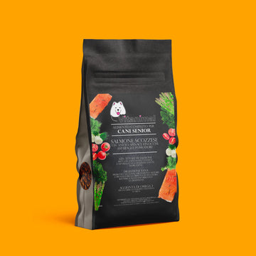 Crocchette gusto Salmone Scozzese – Cane Senior